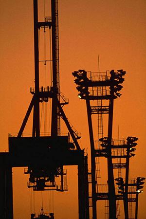 激安価格出の名刺の印刷ならお任せ